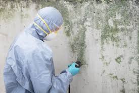 Mold Odor Removal Services